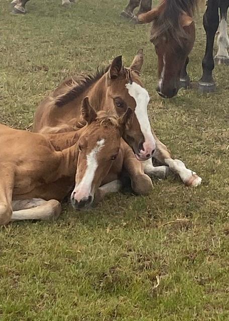 Sleeping friends